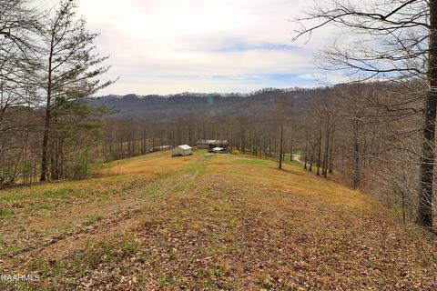 6201 Buffalo Rd, Oneida, TN 37841 photo 30