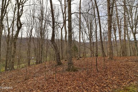 6201 Buffalo Rd, Oneida, TN 37841 photo 52