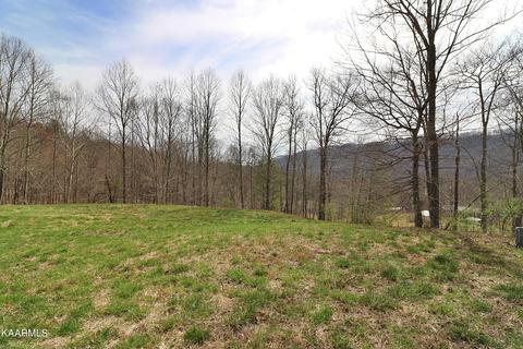 6201 Buffalo Rd, Oneida, TN 37841 photo 32