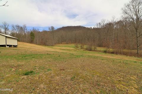 6201 Buffalo Rd, Oneida, TN 37841 photo 40