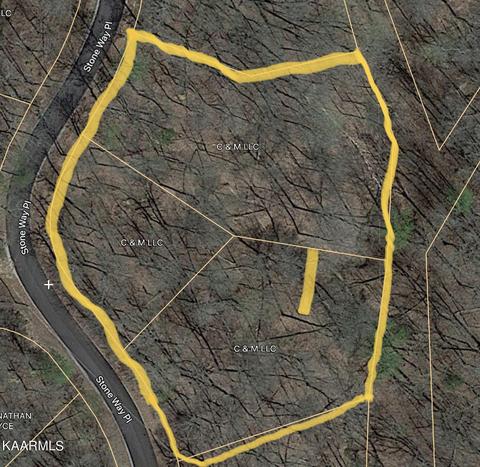 Stoneway Court, Baneberry, TN 37890