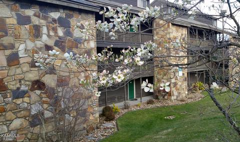 1380 Ski View Dr #2203, Gatlinburg, TN 37738