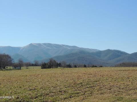 211 W Broyles Rd, Chuckey, TN 37641 photo 17