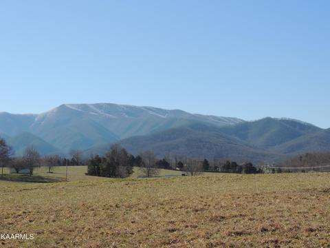 211 W Broyles Rd, Chuckey, TN 37641 photo 5