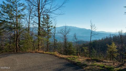 Big Bear Ridge Rd, Pittman Center, TN 37738