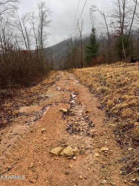 Buffalo Rd, Oneida, TN 37841 photo 20