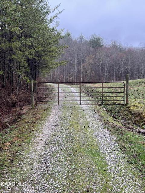 Buffalo Rd, Oneida, TN 37841 photo 8