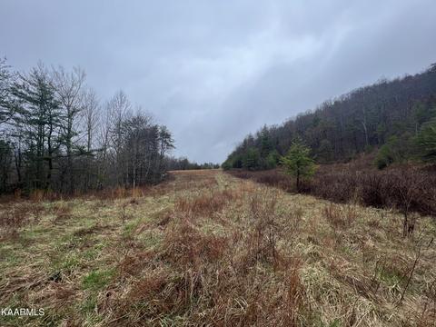 Buffalo Rd, Oneida, TN 37841 photo 2