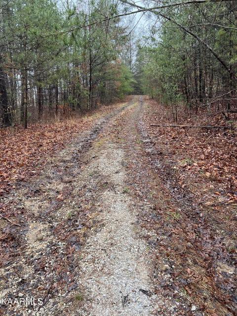 Buffalo Rd, Oneida, TN 37841 photo 10