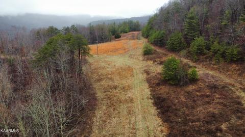 Buffalo Rd, Oneida, TN 37841 photo 6