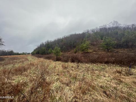 Buffalo Rd, Oneida, TN 37841 photo 18
