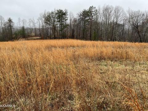Buffalo Rd, Oneida, TN 37841 photo 7