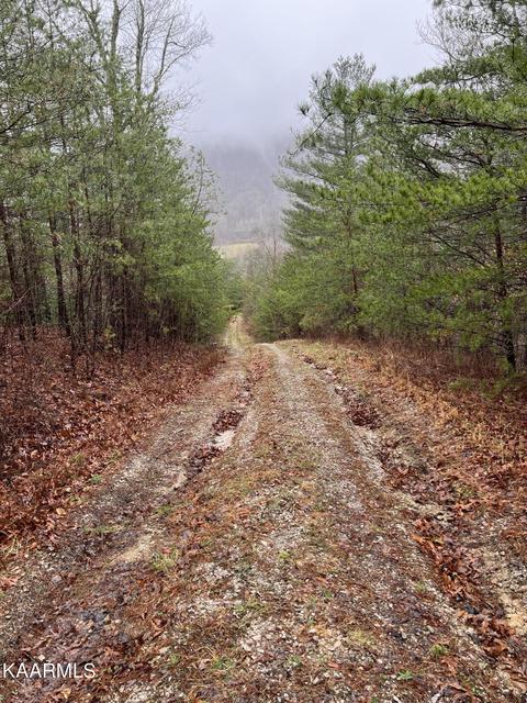 Buffalo Rd, Oneida, TN 37841 photo 9