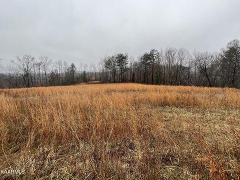 Buffalo Rd, Oneida, TN 37841