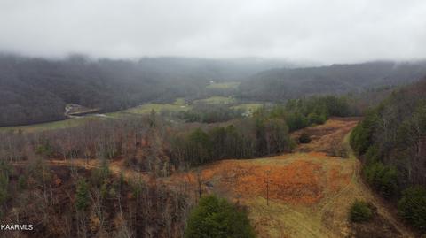 Buffalo Rd, Oneida, TN 37841 photo 17