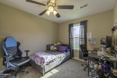 6642 Ruby June Ln, Corryton, TN 37721 photo 16