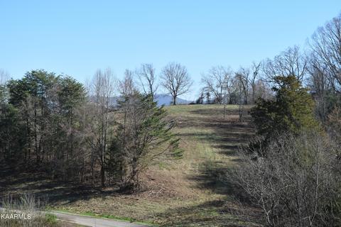 Lot 19 Woodland Creek Drive, Dandridge, TN 37725