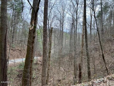 Woodside, Sevierville, TN 37862