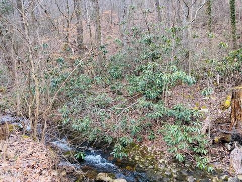 Carson Springs Rd, Newport, TN 37821