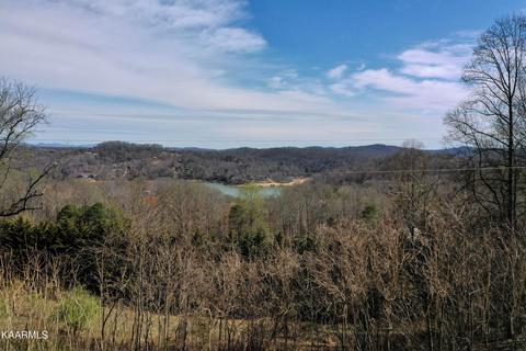 Lindsey Mill Circle, Rocky Top, TN 37769