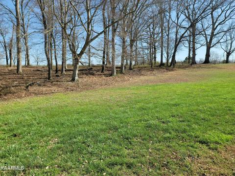 Wild Pear Trl, Dandridge, TN 37725