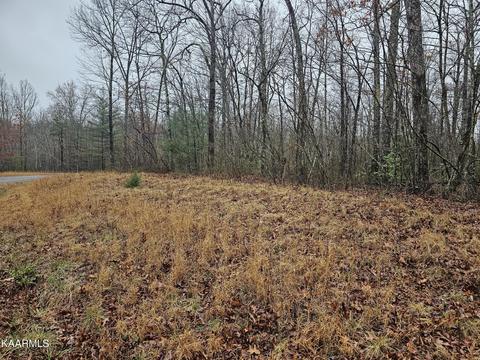 38 Jay Loop, Jamestown, TN 38556