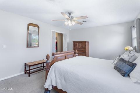 160 Colditz Ln, Oneida, TN 37841 photo 24