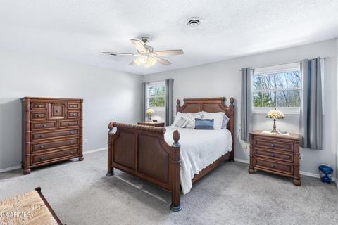 160 Colditz Ln, Oneida, TN 37841 photo 23