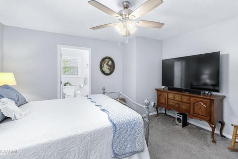 160 Colditz Ln, Oneida, TN 37841 photo 17
