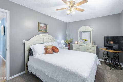 160 Colditz Ln, Oneida, TN 37841 photo 20