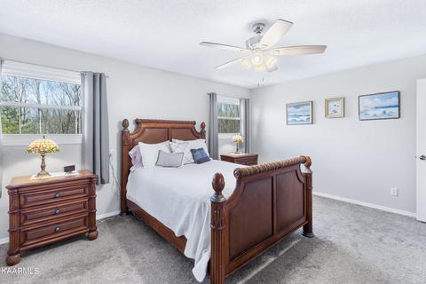 160 Colditz Ln, Oneida, TN 37841 photo 25