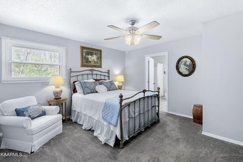 160 Colditz Ln, Oneida, TN 37841 photo 15