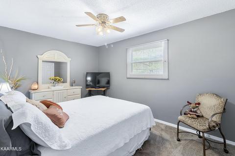 160 Colditz Ln, Oneida, TN 37841 photo 19
