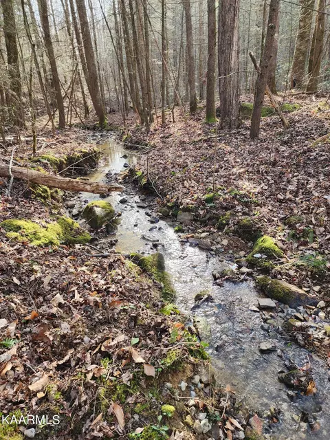 o Bull Creek Road, Huntsville, TN 37756