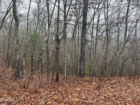 Delk Street, Jamestown, TN 38556
