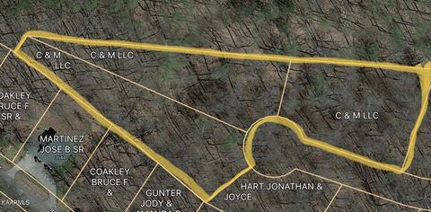 Shady Hollow Lane, Baneberry, TN 37890