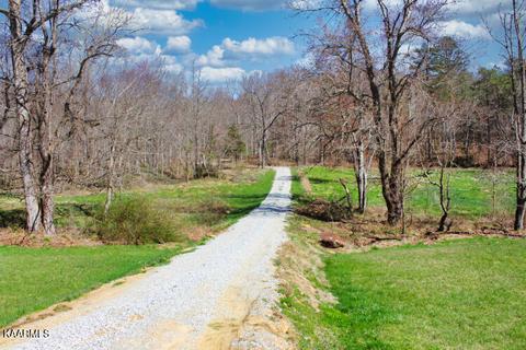 544 Ce Todd Rd, Robbins, TN 37852 photo 13