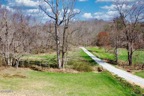 544 Ce Todd Rd, Robbins, TN 37852 photo 14