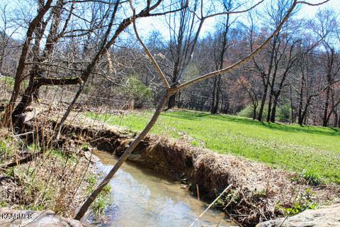 544 Ce Todd Rd, Robbins, TN 37852 photo 11