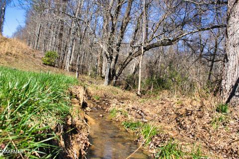 544 Ce Todd Rd, Robbins, TN 37852 photo 12