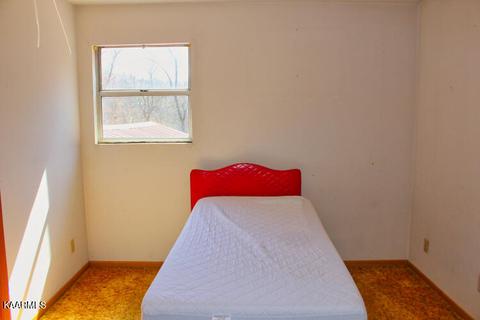 544 Ce Todd Rd, Robbins, TN 37852 photo 25