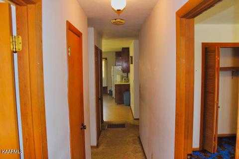 544 Ce Todd Rd, Robbins, TN 37852 photo 24