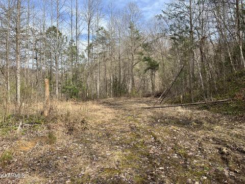 Roses Creek Rd, Clairfield, TN 37715