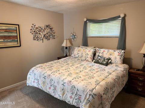 7244 Deville Way, Powell, TN 37849 photo 22