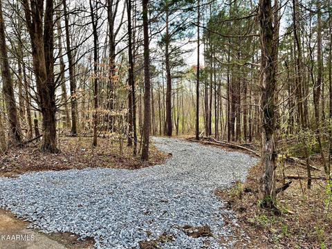 Lot 1 County Road 188, Decatur, TN 37322