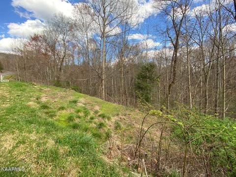 Jones Creek Lane, Sevierville, TN 37862