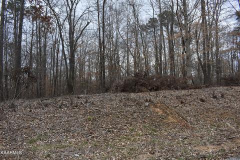 Lot 10 Jones Ridge Rd, Speedwell, TN 37870