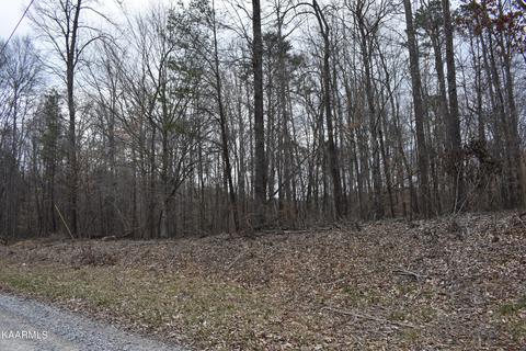 Lot 14 Jones Ridge Rd, Speedwell, TN 37870