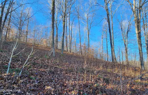 lot137 Suncrest Cv, La Follette, TN 37766