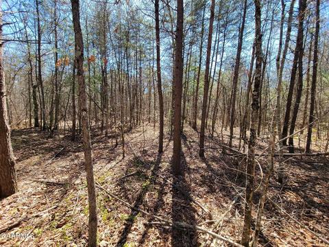 Paige Lane, Deer Lodge, TN 37726